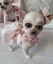 Load image into Gallery viewer, Spanish chihuahua dog doll🐶
