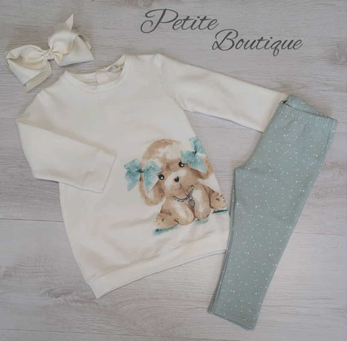 EMC puppy sweatshirt & legging set