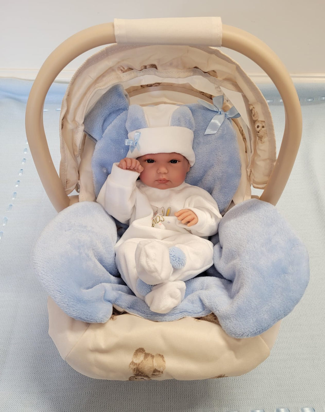 Teddy car seat & doll bundle