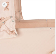 Load image into Gallery viewer, Roma teddy reborn dolls pram (For older girls)🧸