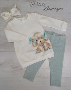 EMC puppy sweatshirt & legging set