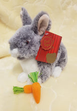 Load image into Gallery viewer, Soft plush bunny rabbit